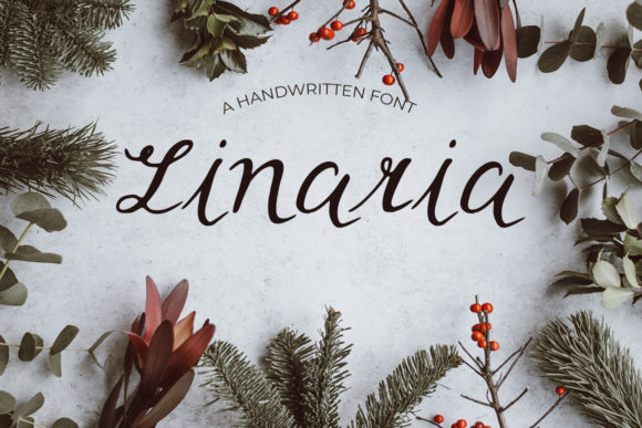 Enhance Your Brand with Linaria: A Delicate Script Font