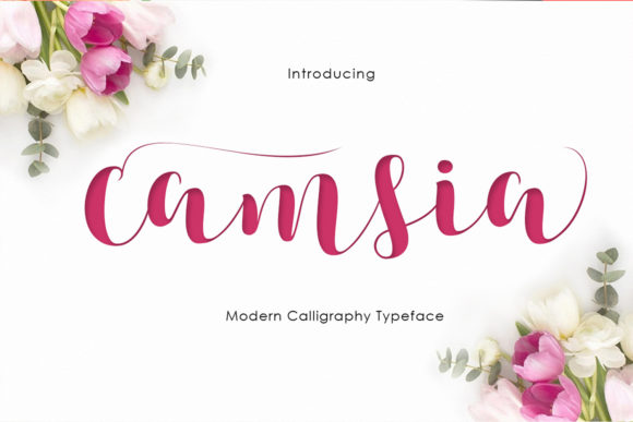 Enhance Your Web Design with Camsia Font
