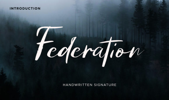 Federation: A Bold Script for Modern Design