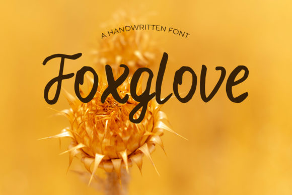 Foxglove: A Premium Script Font with Elegance