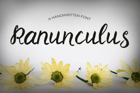 Ranunculus: A Graceful Script for Elegant Projects